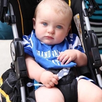 GVSU Night at Comerica Park